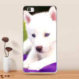 Case For Coque Huawei P8 Lite Case Cover Silicone For Capas Huawei P8 Lite 2016 ALE-L21 Case Funda For Huawei P8 Lite 2015 Cover